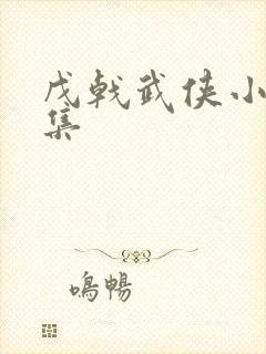 戊戟武侠小说全集