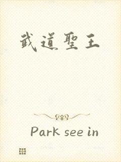 武道圣王