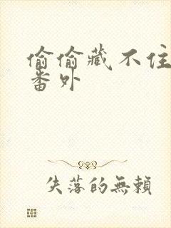 偷偷藏不住新婚番外