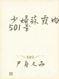 少妇苏霞肉欲第501章