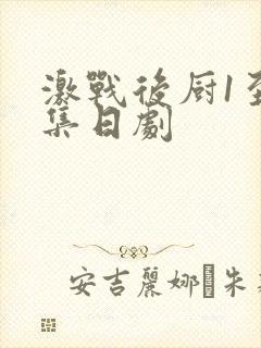 激战后厨1至5集日剧