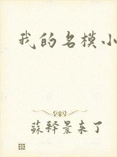 我的名模小娇妻
