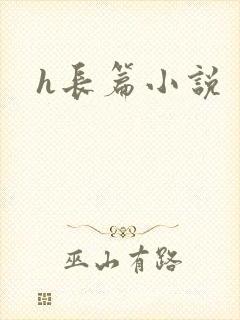 h长篇小说