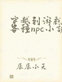 穿越到游戏里和各种npc小说