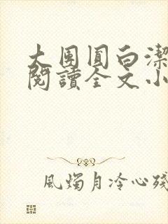大团圆白洁免费阅读全文小说
