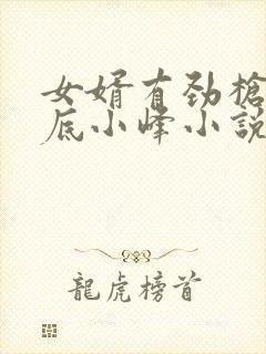 女婿有劲枪枪到底小峰小说