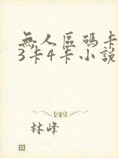 无人区码卡二卡3卡4卡小说