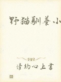 野猫驯养小说