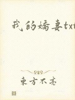 我的娇妻txt