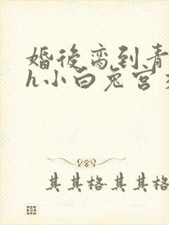 婚后脔到青梅哭h小白兔宫交h