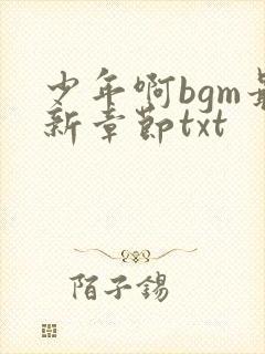 少年啊bgm最新章节txt