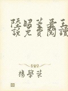 陆昭菱晋王的小说免费阅读