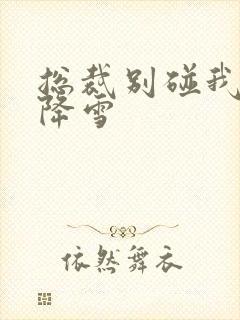 总裁别碰我 韩降雪