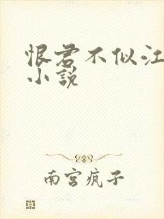 恨君不似江楼月小说