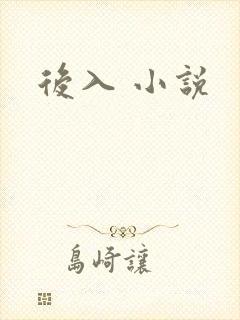 后入 小说