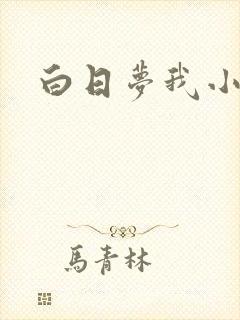 白日梦我小说