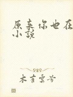 原来你也在这里小说