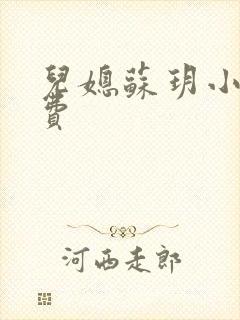 儿媳苏玥小说免费