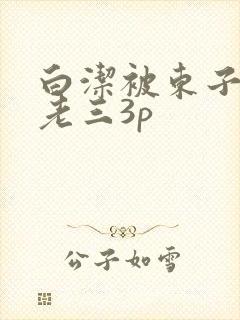 白洁被东子老二老三3p
