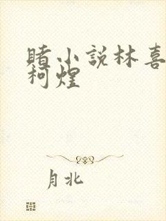 赌小说林喜朝和柯煜