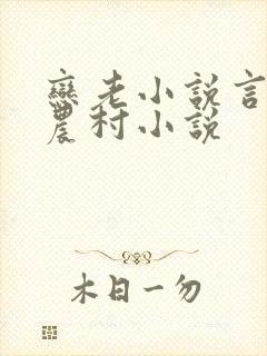 恋老小说言情网农村小说