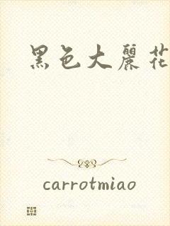 黑色大丽花图片