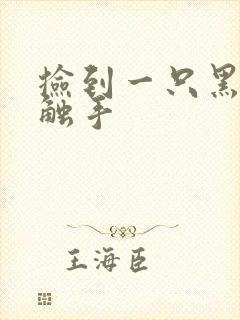 捡到一只黑心小触手