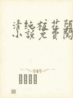 清纯校花堕落记小说免费阅读