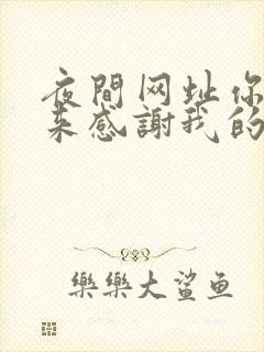 夜间网址你会回来感谢我的