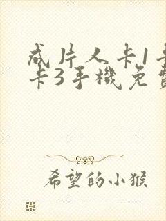 成片人卡1卡2卡3手机免费看