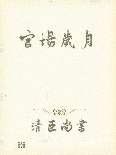官场岁月
