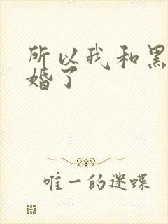 所以我和黑粉结婚了