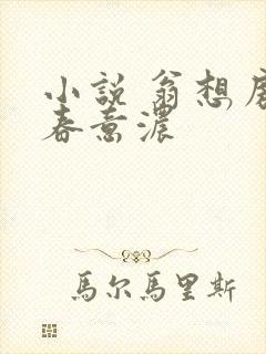 小说 翁想房中春意浓