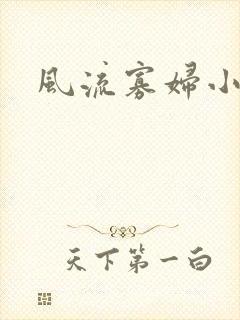 风流寡妇小说