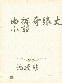 内裤奇缘大团结小说