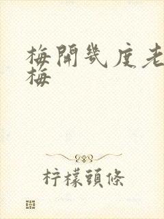 梅开几度老周张梅