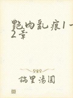 艳肉乱痕1一12章