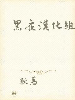 黑夜汉化组