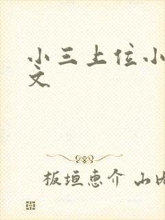 小三上位小说全文