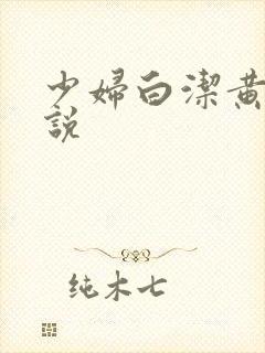 少妇白洁黄色小说