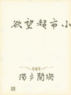 欲望超市小说