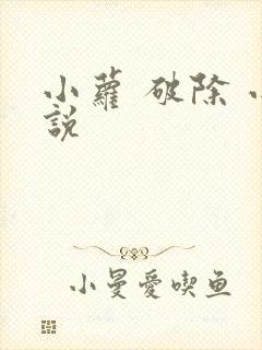 小萝 破除 小说