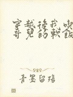 穿越后我吃到了哥儿的软饭炉山灰