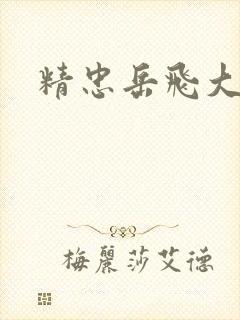 精忠岳飞大结局