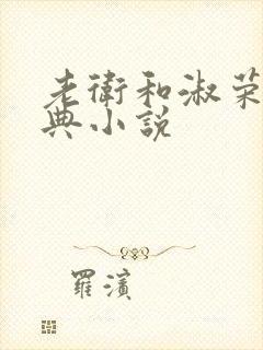 老卫和淑荣的经典小说