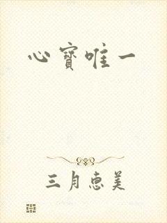 心宝唯一