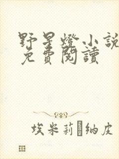 野星灯小说全文免费阅读