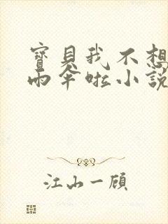 宝贝我不想带小雨伞啦小说