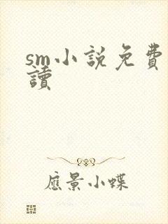 sm小说免费阅读