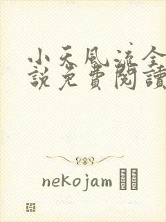 小天风流全集小说免费阅读